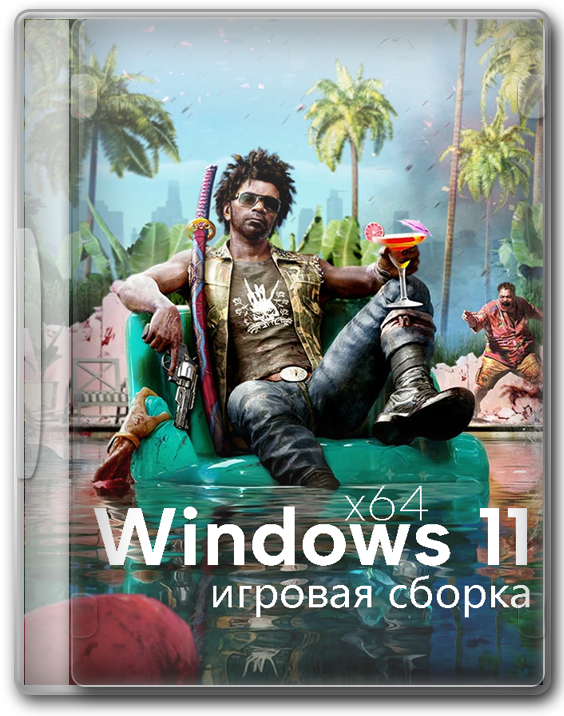 Windows 11  64  23H2   