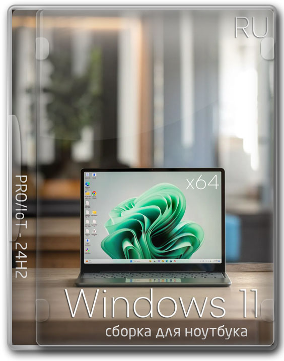 Windows 11 IoT/Pro x64   24H2  